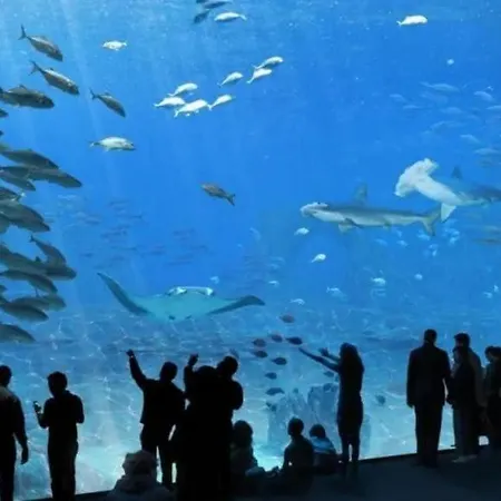 La Tanatte De Wimereux, Maison Sur La Cote D'opale * Wimereux